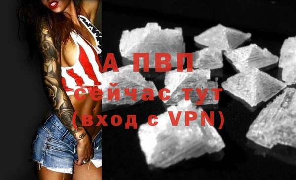 СК Тихвин