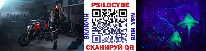 Псилоцибиновые грибы Psilocybine cubensis  Приволжский 